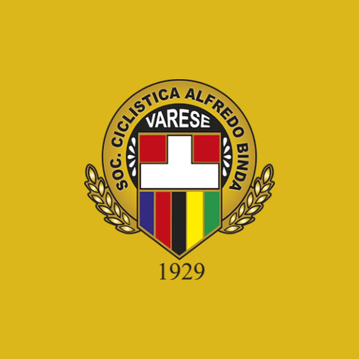 Section Image