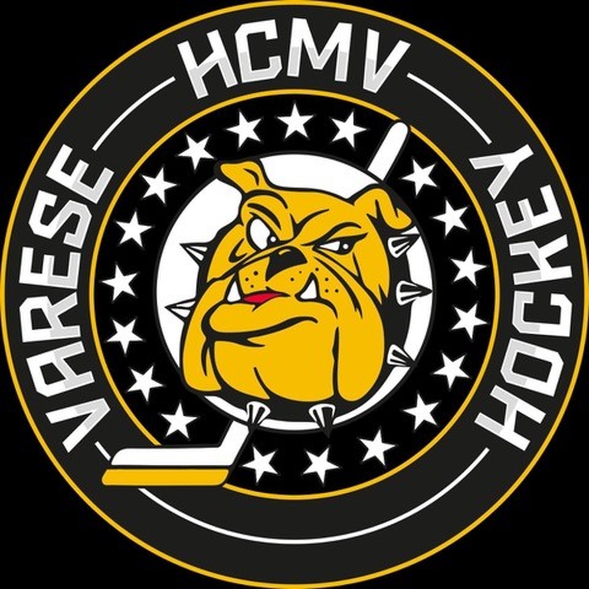 Section Image